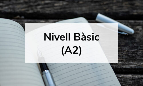 Nivell Bàsic (A2)