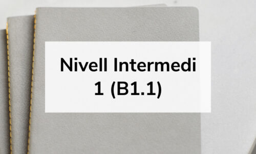 Nivell Intermedi 1  (B1.1)